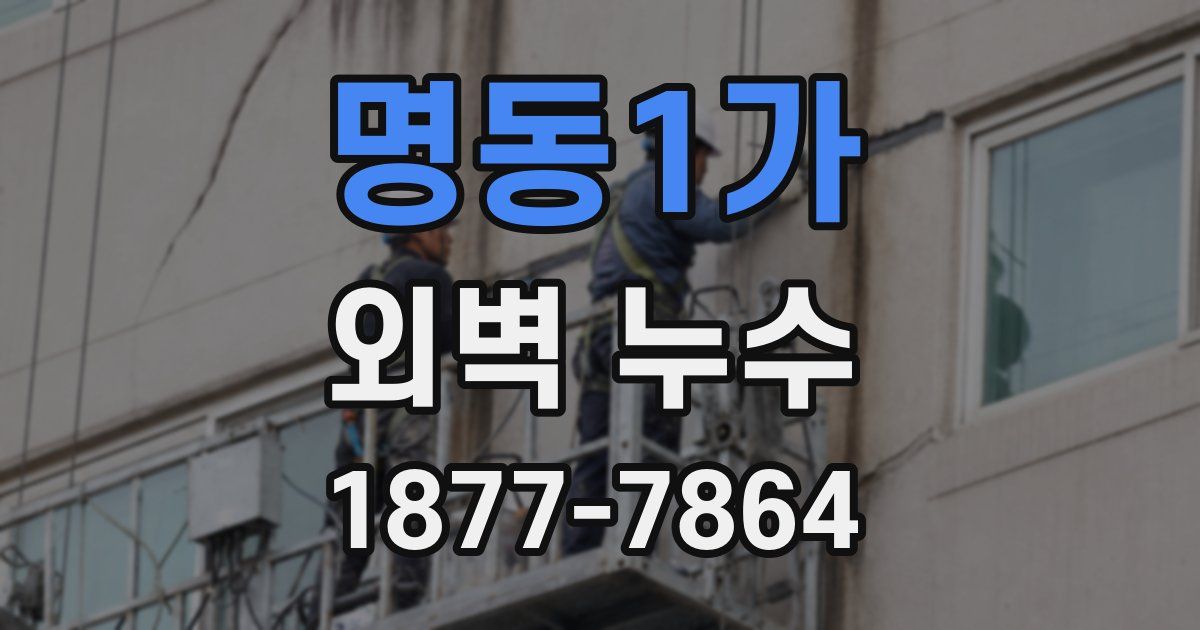 명동1가 외벽 누수