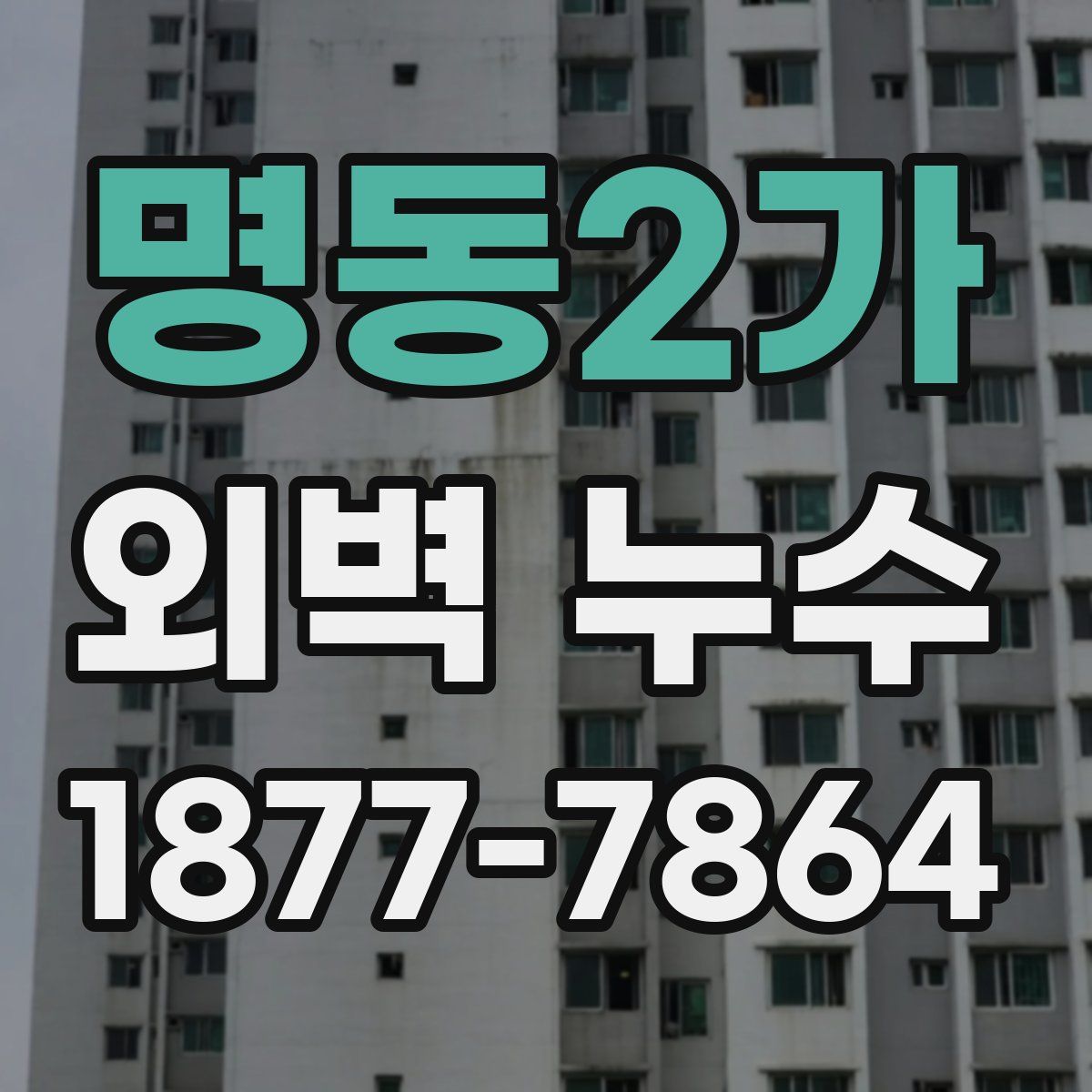 명동2가 외벽 누수