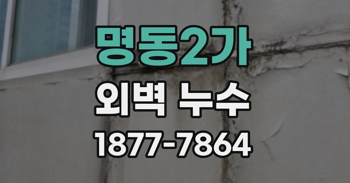 명동2가 외벽 누수