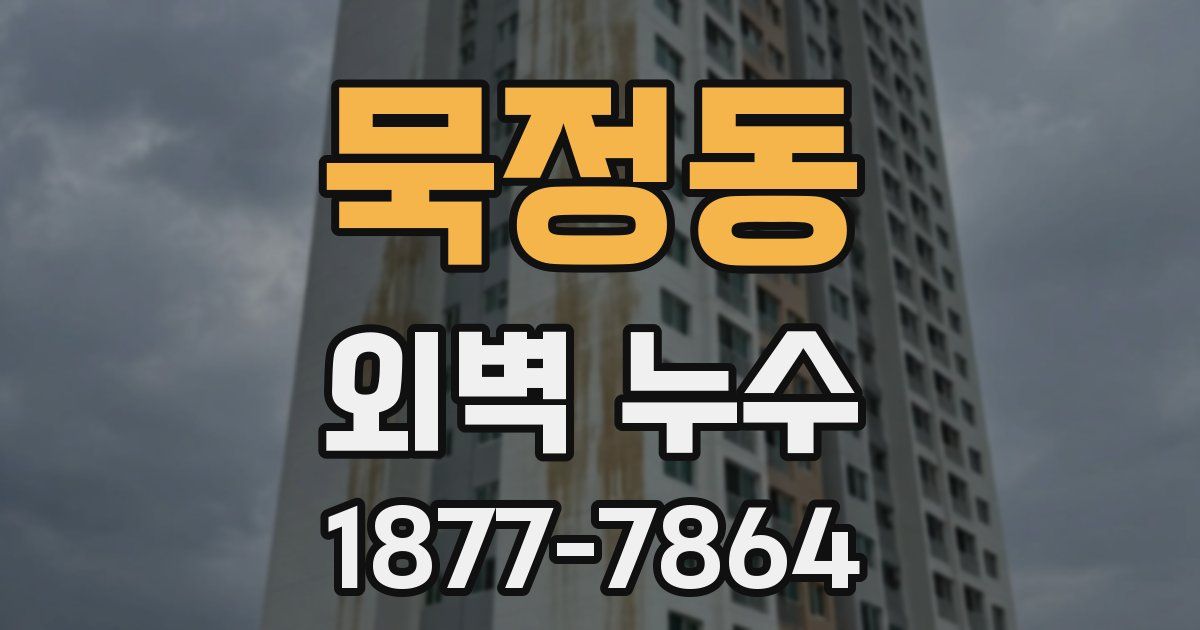 묵정동 외벽 누수
