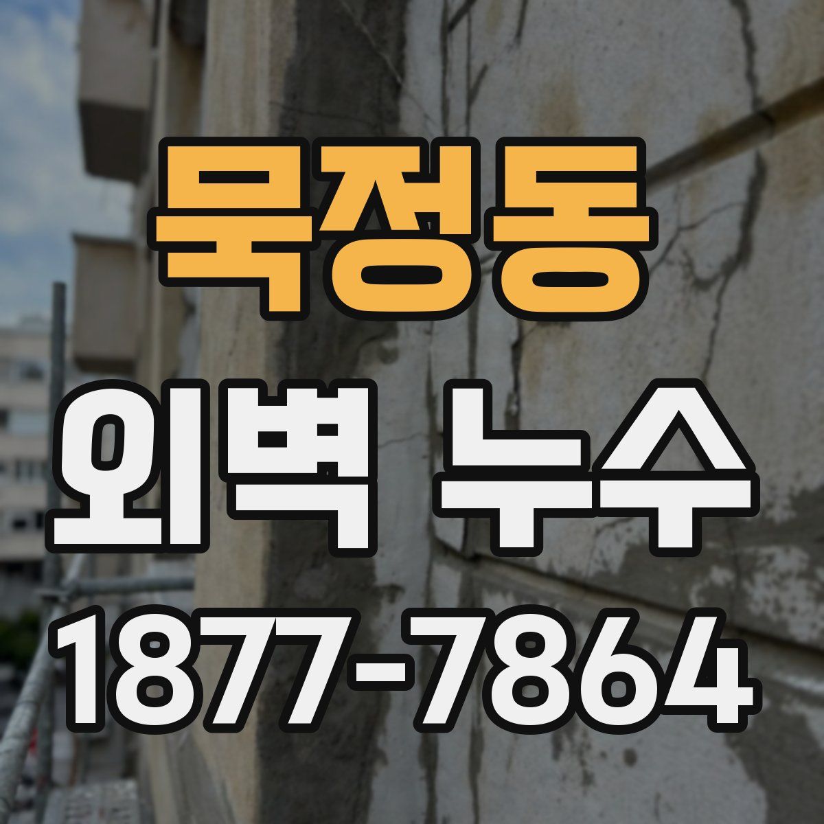 묵정동 외벽 누수