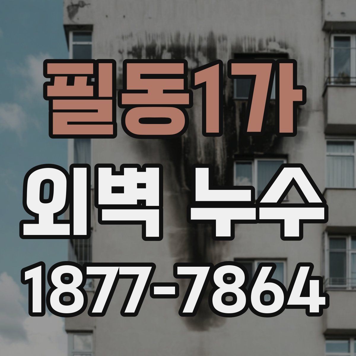 필동1가 외벽 누수 보수 비용이 달라지는 이유
