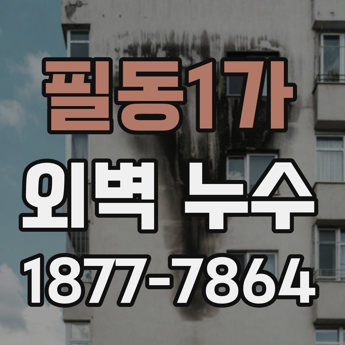 필동1가 외벽 누수