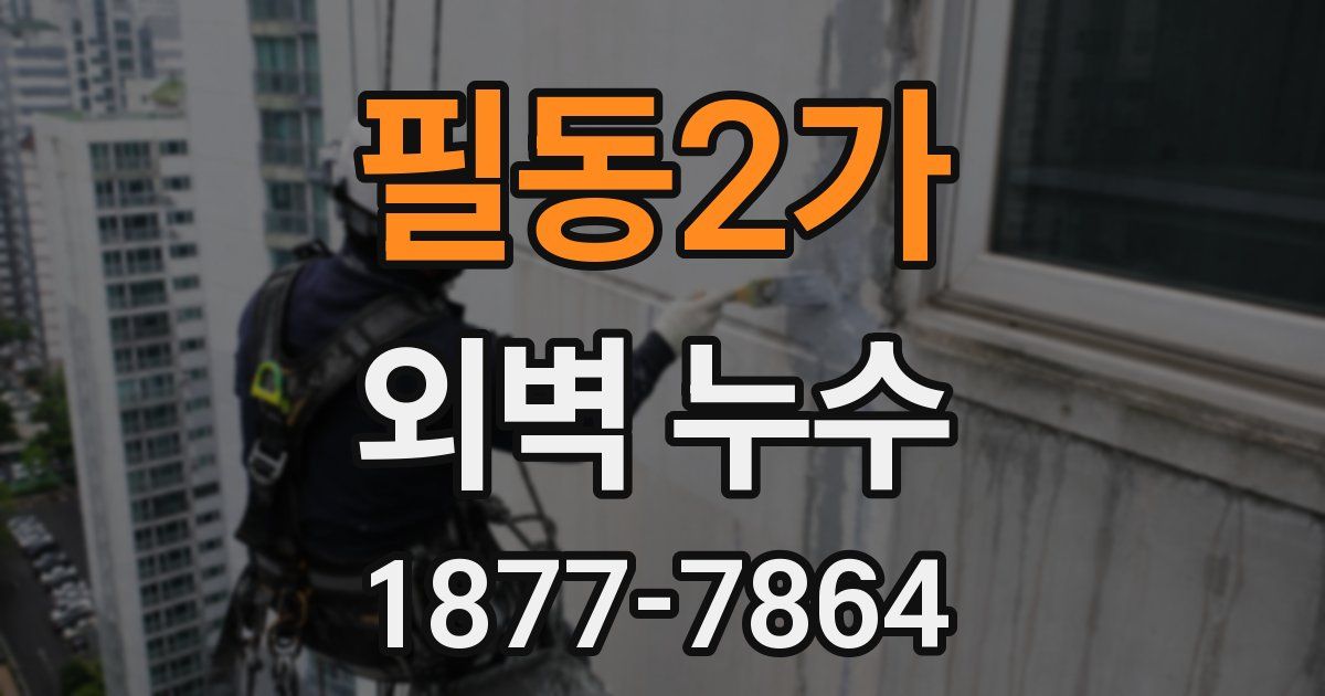 필동2가 외벽 누수