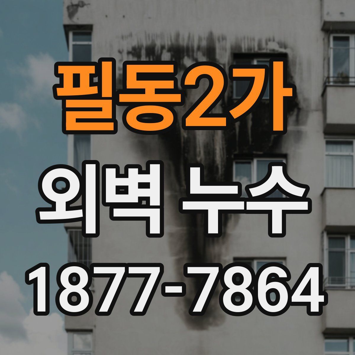 필동2가 외벽 누수