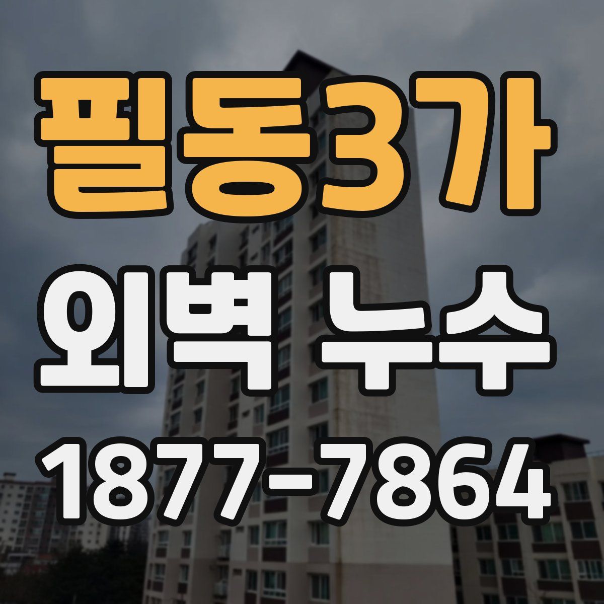 필동3가 외벽 누수
