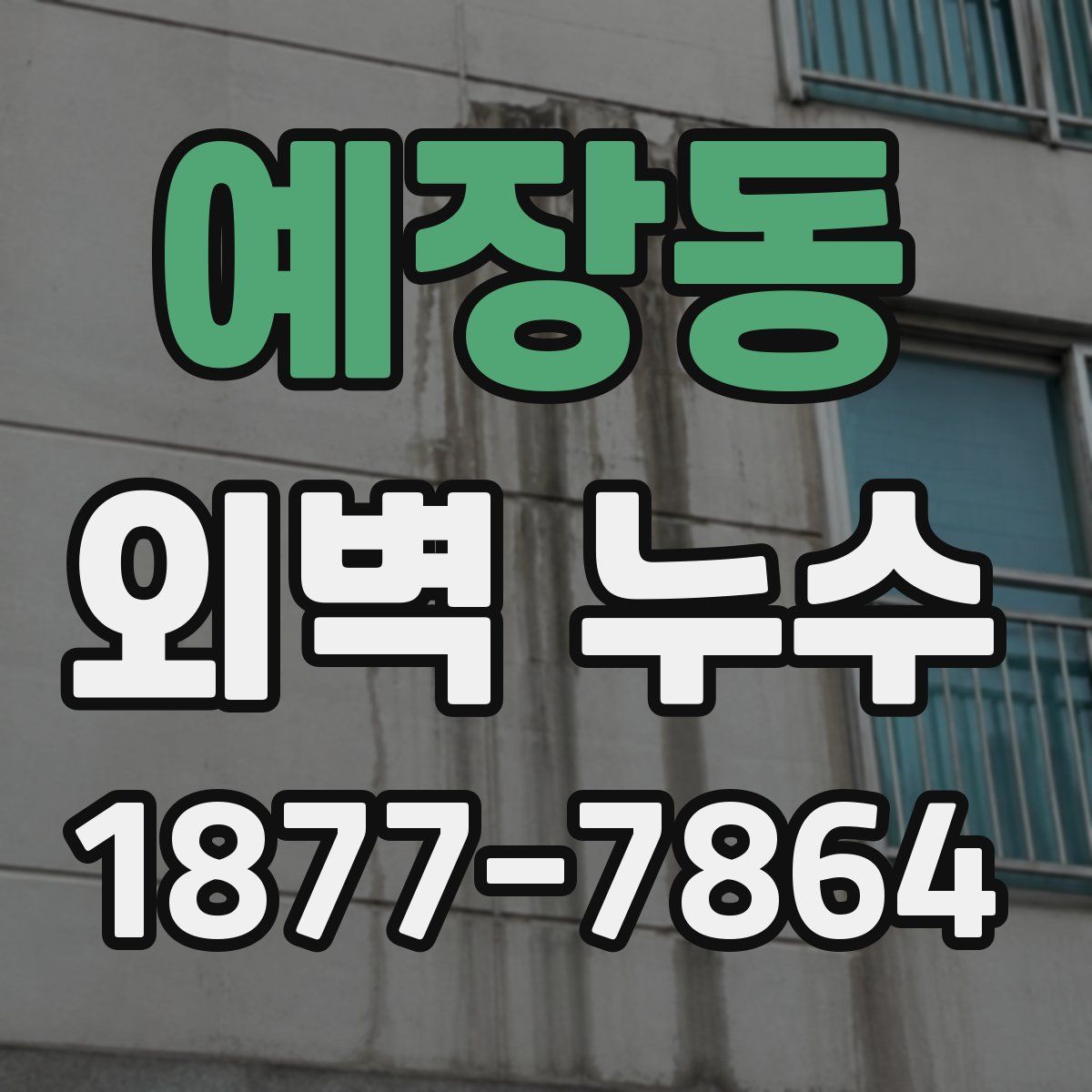 예장동 외벽 누수