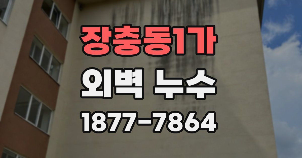 장충동1가 외벽 누수