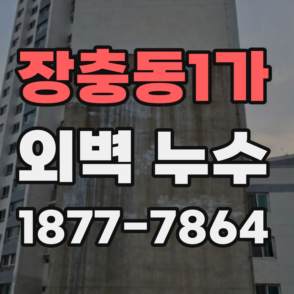 장충동1가 외벽 누수