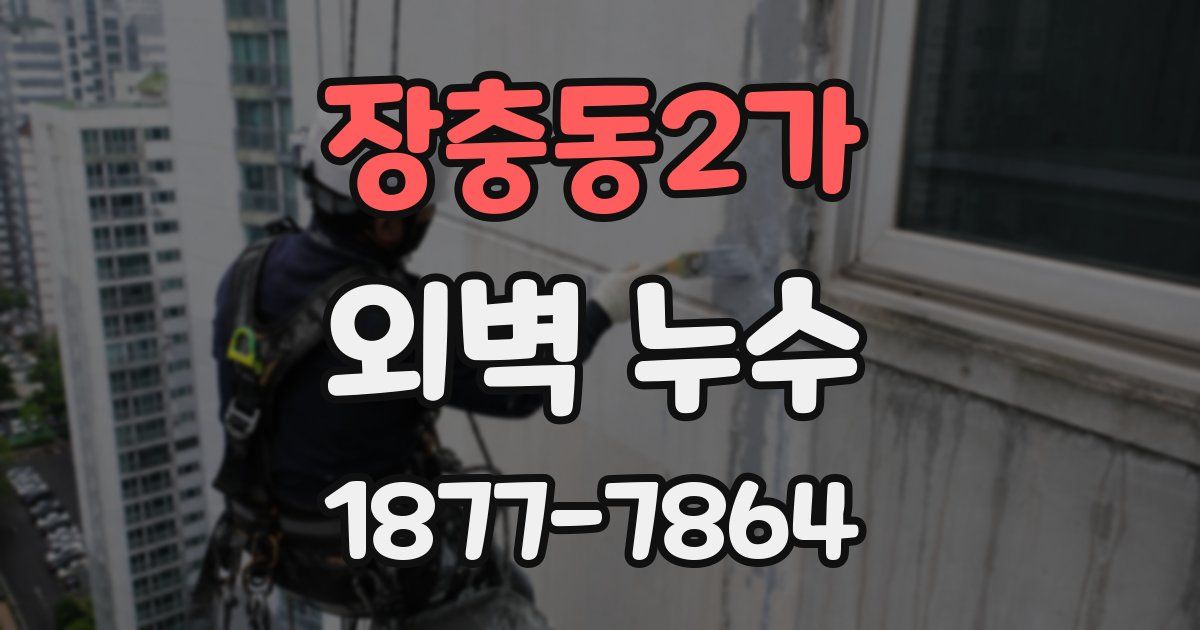 장충동2가 외벽 누수