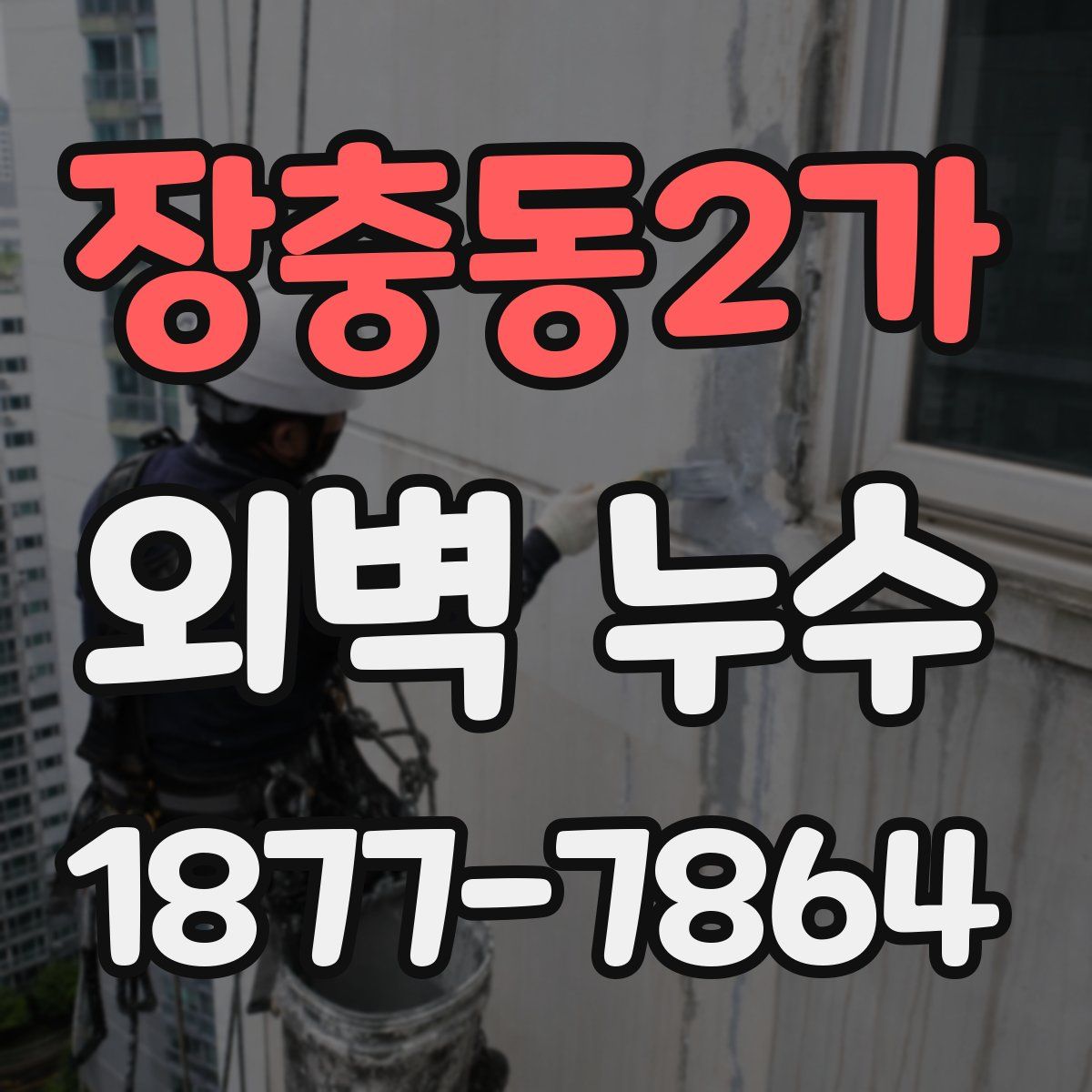 장충동2가 외벽 누수