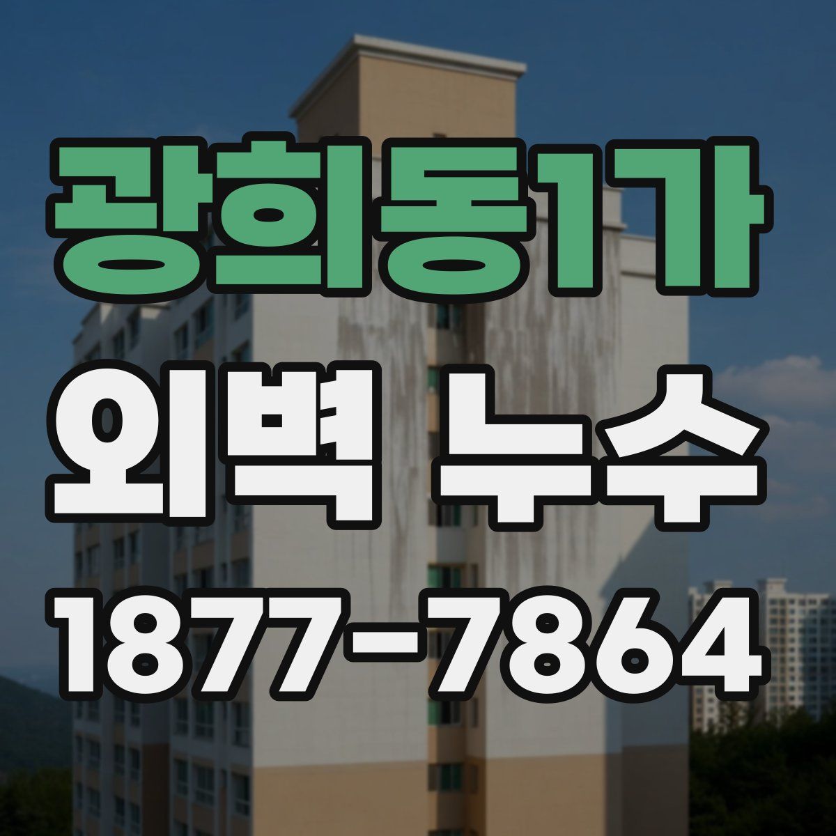 광희동1가 외벽 누수