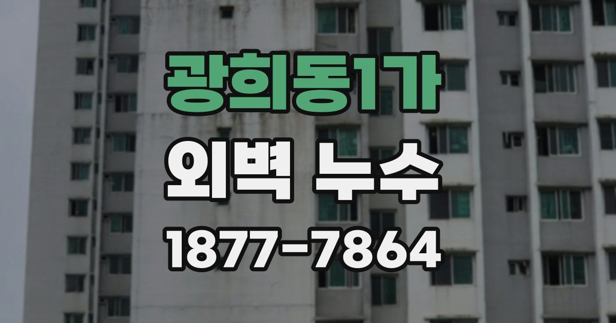 광희동1가 외벽 누수