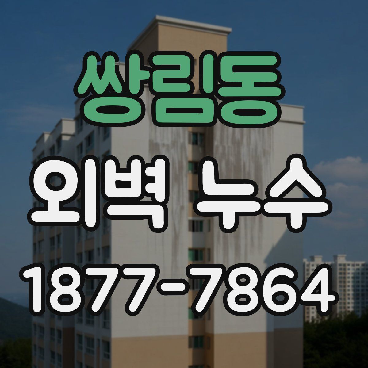 쌍림동 외벽 누수