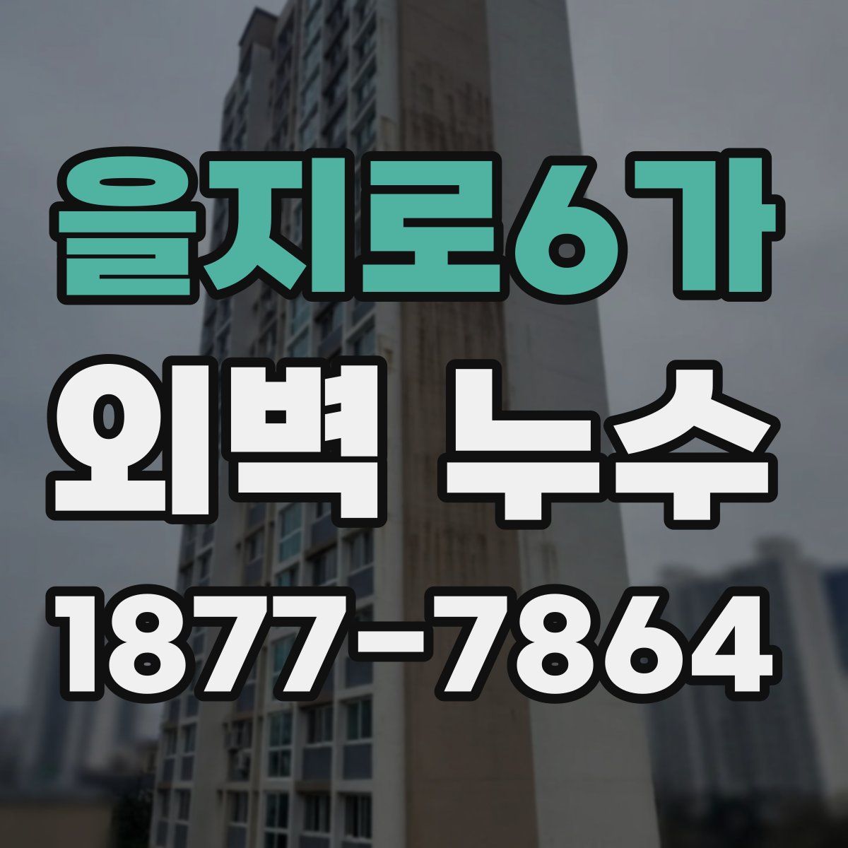 을지로6가 외벽 누수
