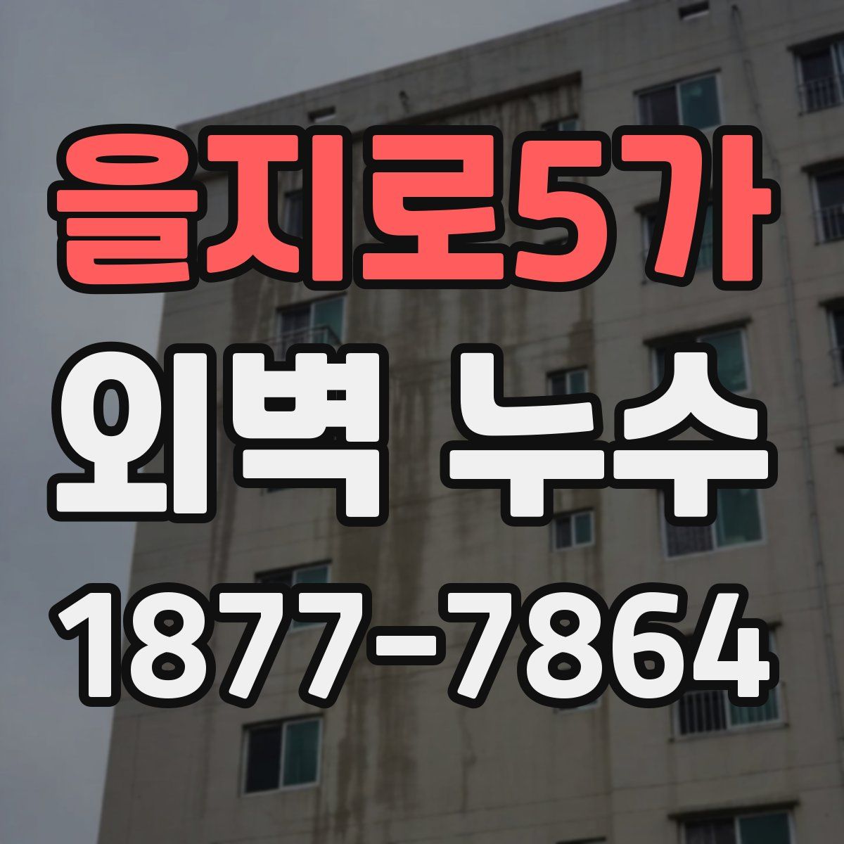을지로5가 외벽 누수
