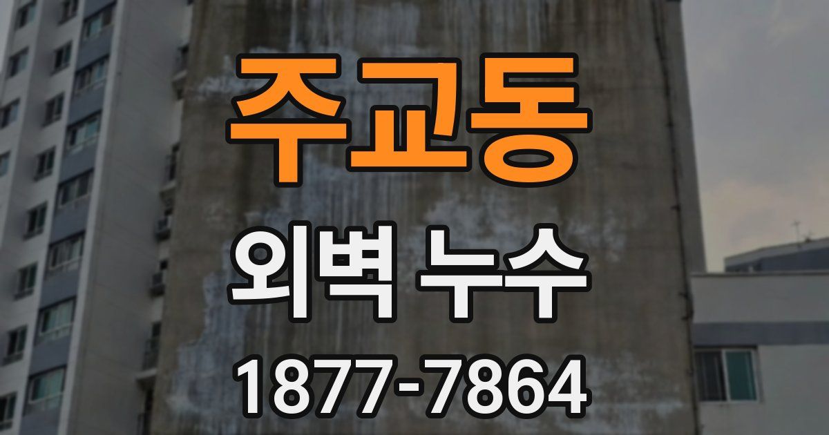 주교동 외벽 누수