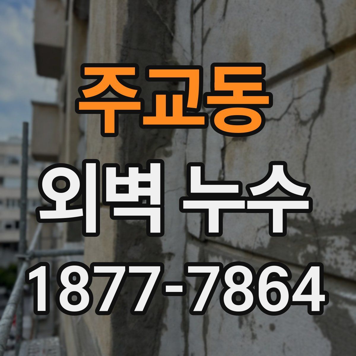 주교동 외벽 누수