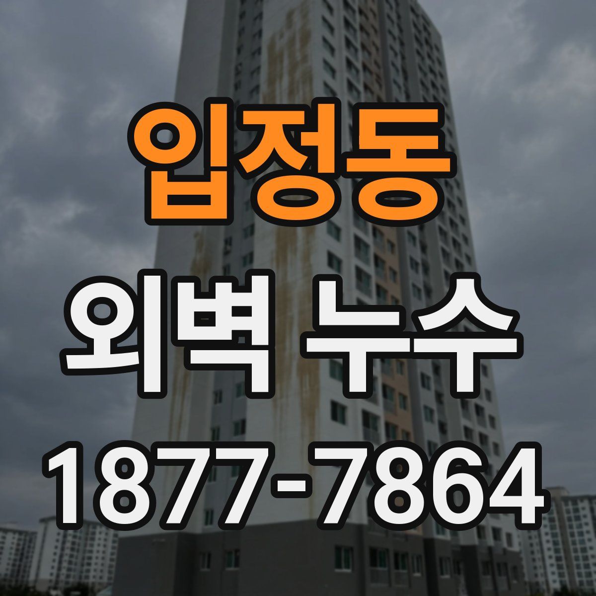 입정동 외벽 누수