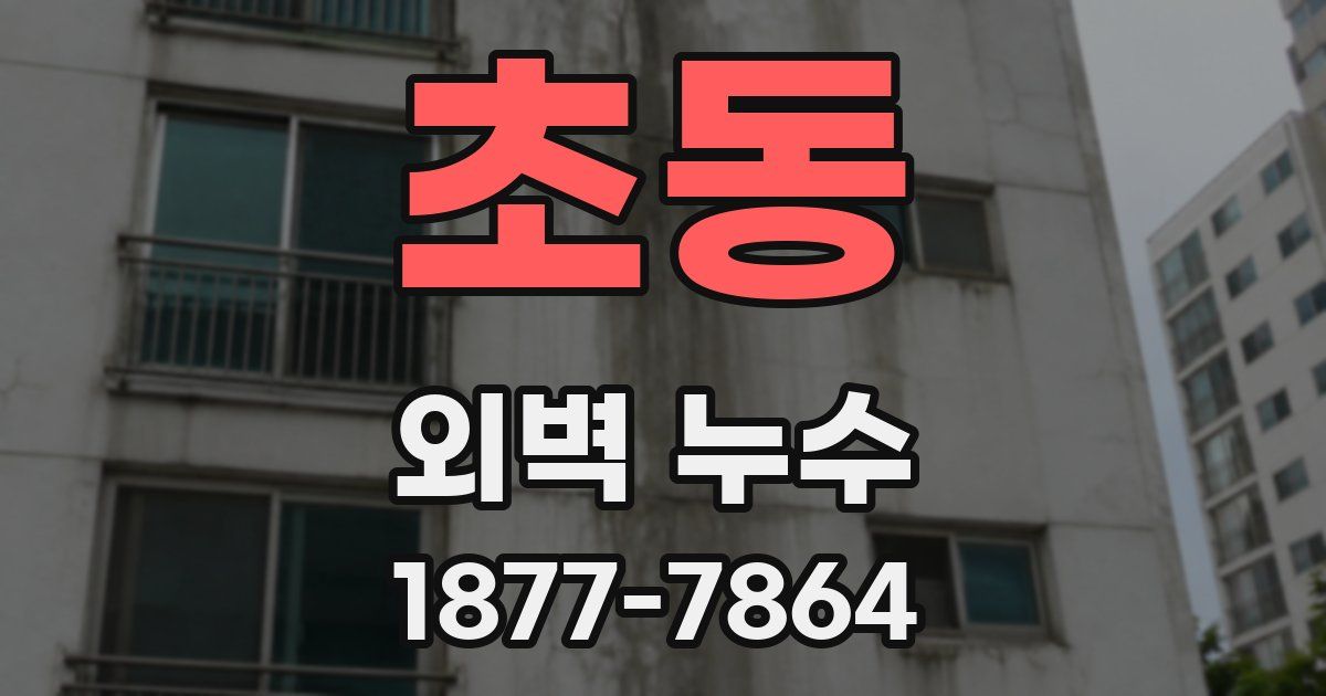 초동 외벽 누수