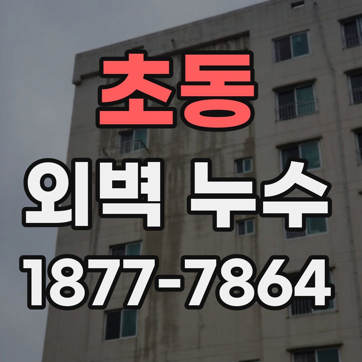 초동 외벽 누수