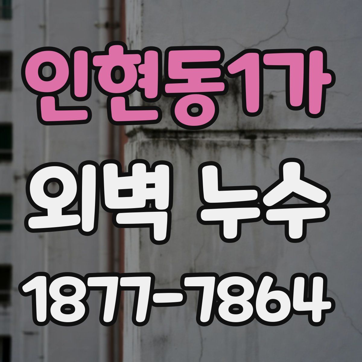 인현동1가 외벽 누수