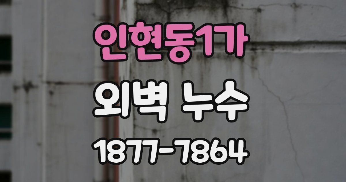 인현동1가 외벽 누수