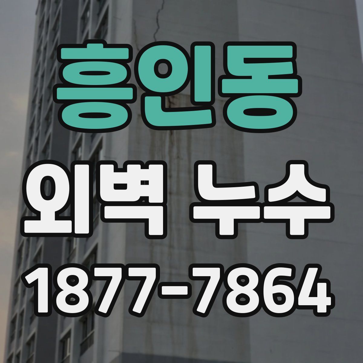 흥인동 외벽 누수