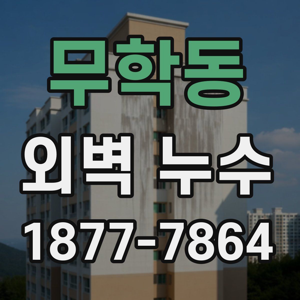 무학동 외벽 누수