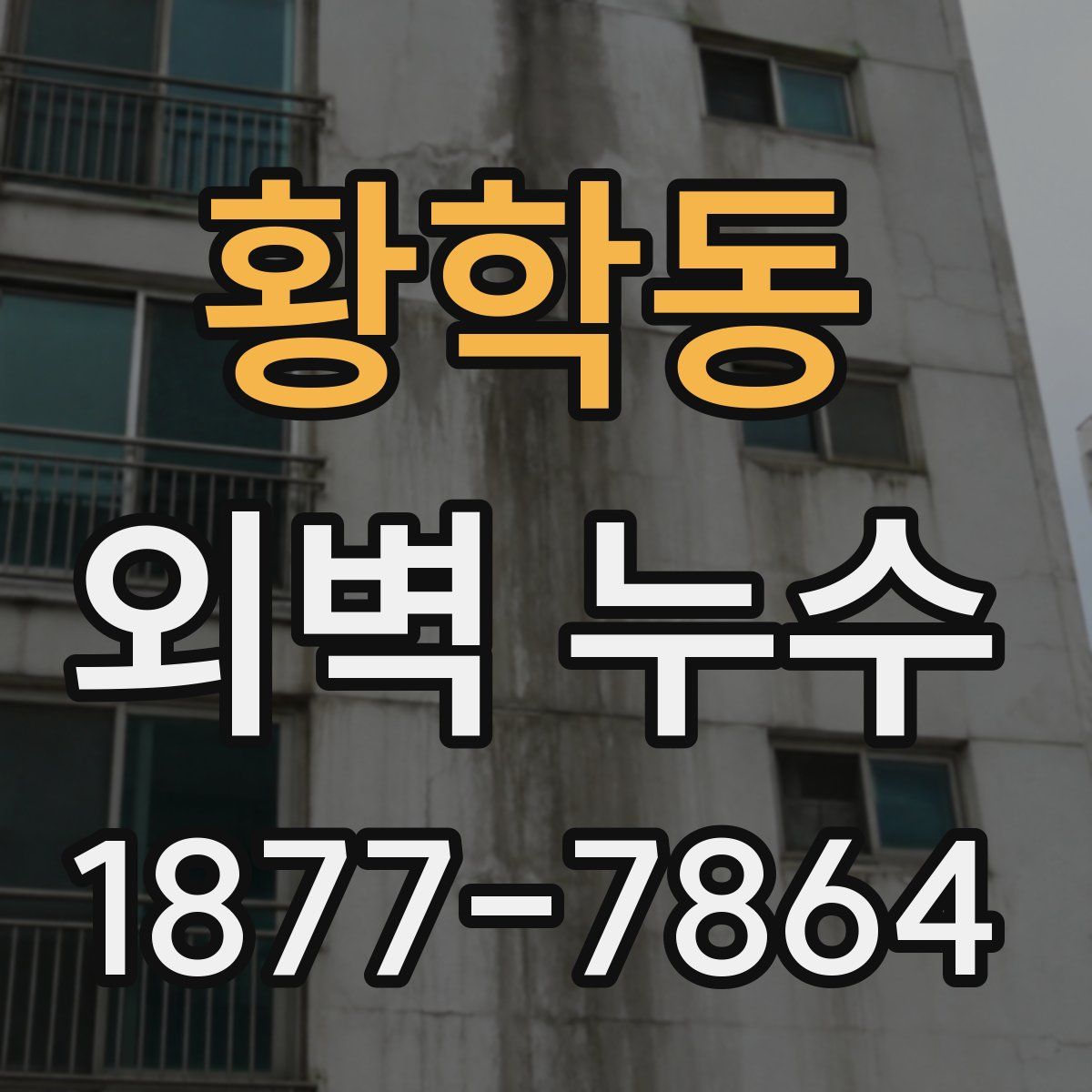황학동 외벽 누수
