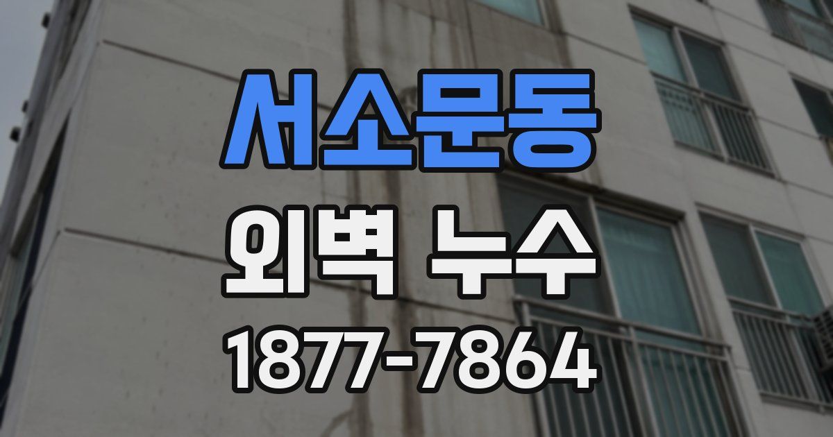 서소문동 외벽 누수