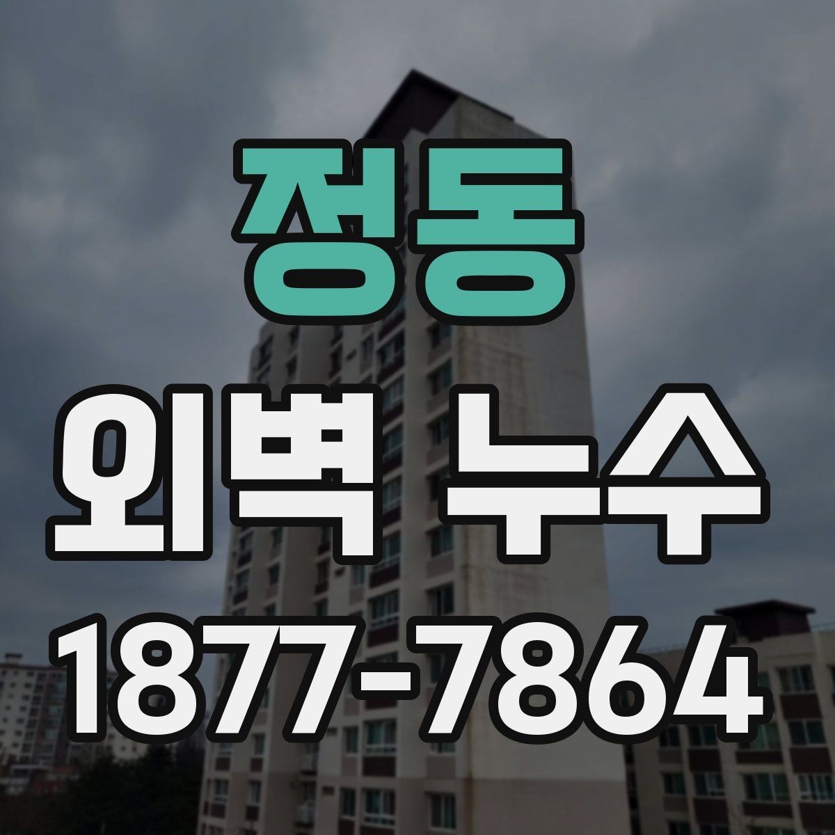 정동 외벽 누수 보수 전후 확인 체크리스트
