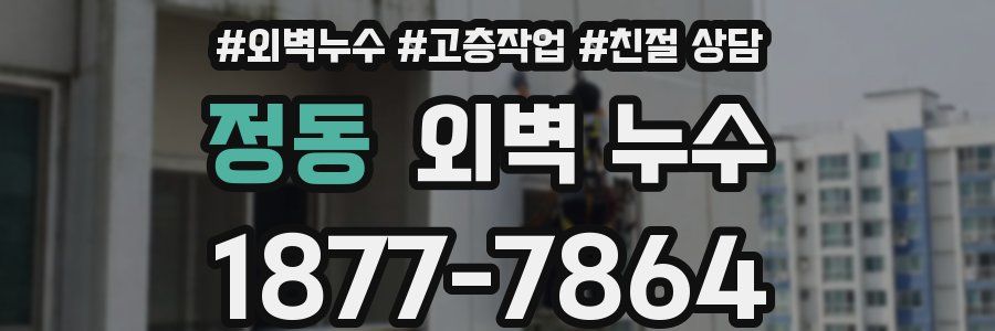 정동 외벽 누수