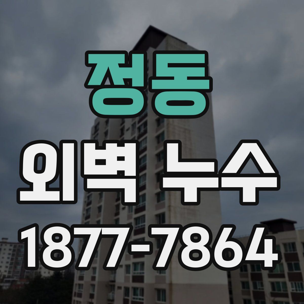 정동 외벽 누수