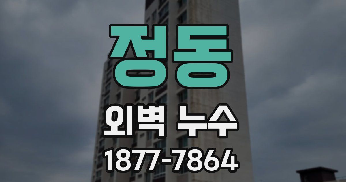 정동 외벽 누수