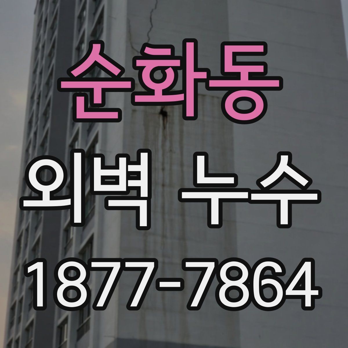 순화동 외벽 누수 예방을 위한 계절별 관리