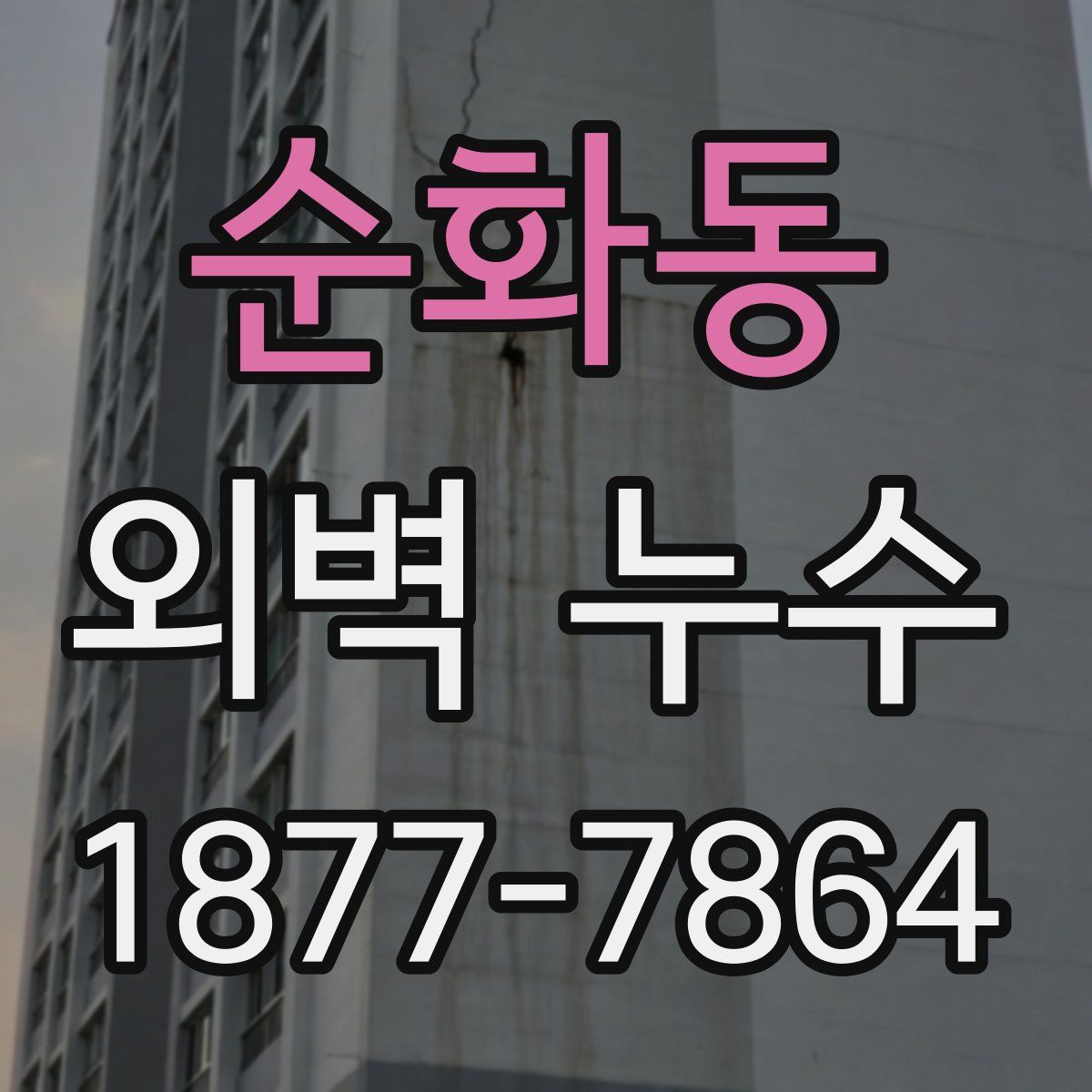 순화동 외벽 누수