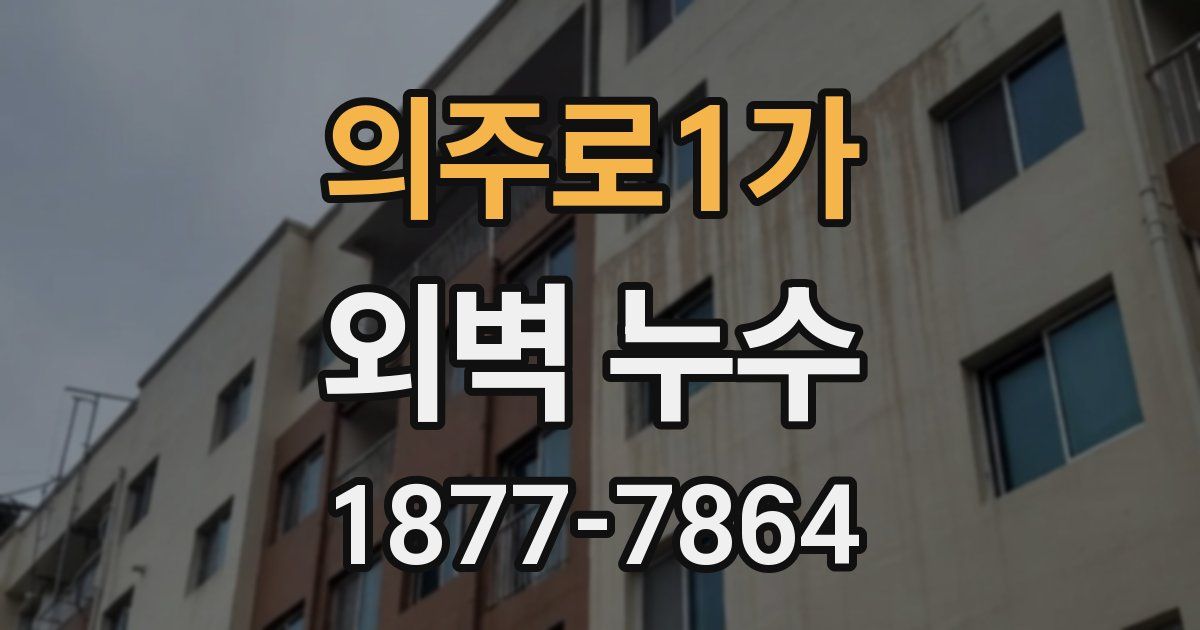 의주로1가 외벽 누수