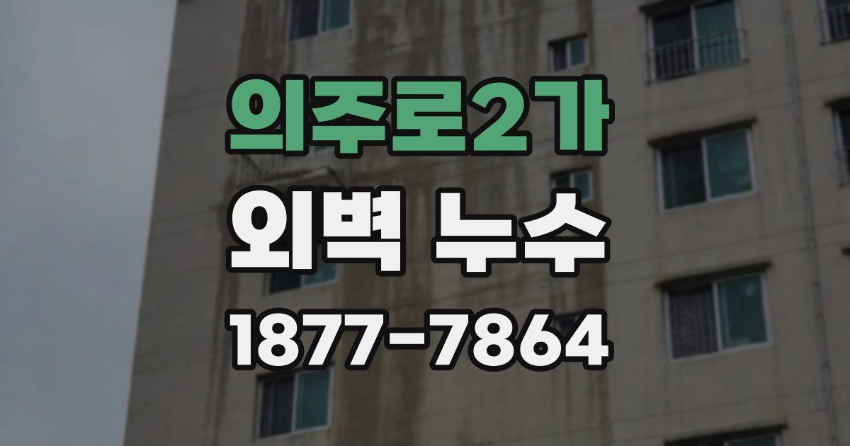 의주로2가 외벽 누수