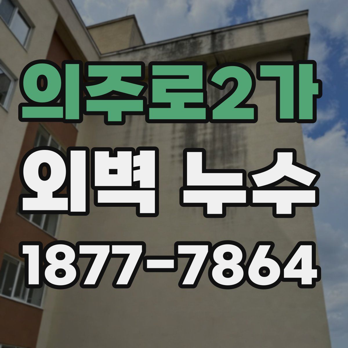 의주로2가 외벽 누수