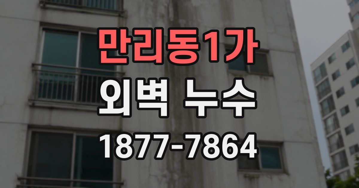 만리동1가 외벽 누수