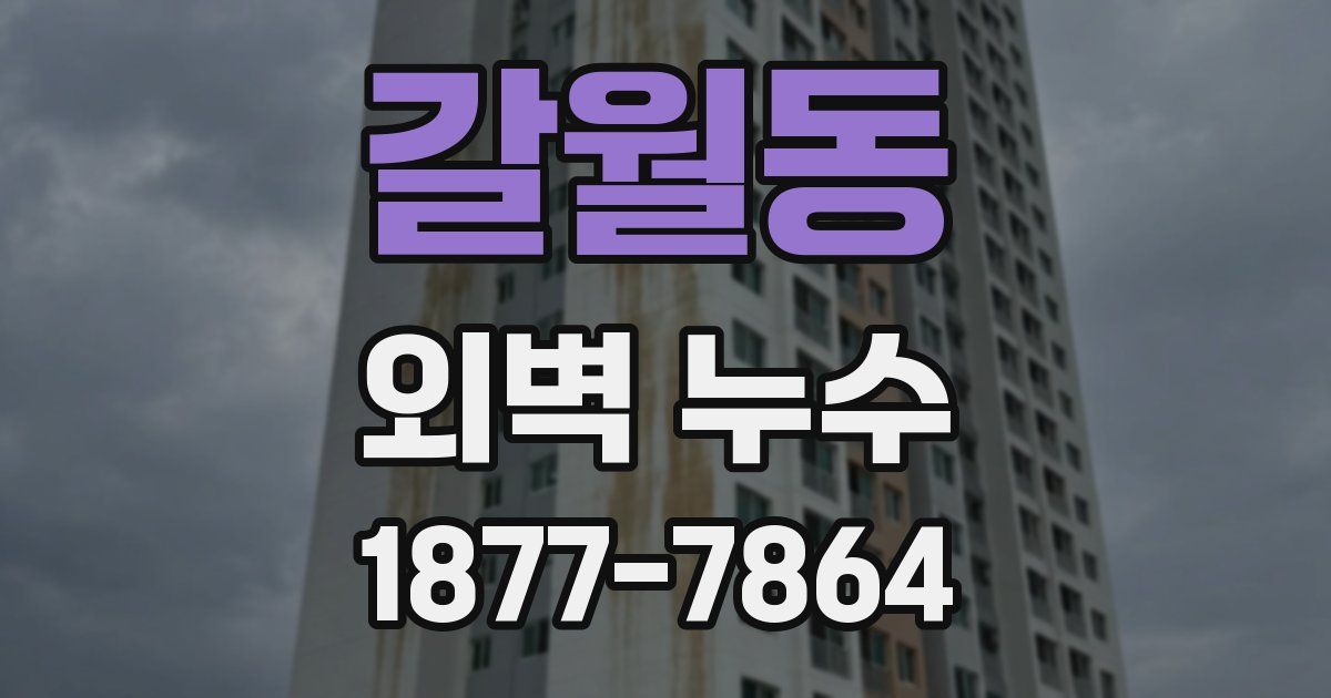 갈월동 외벽 누수