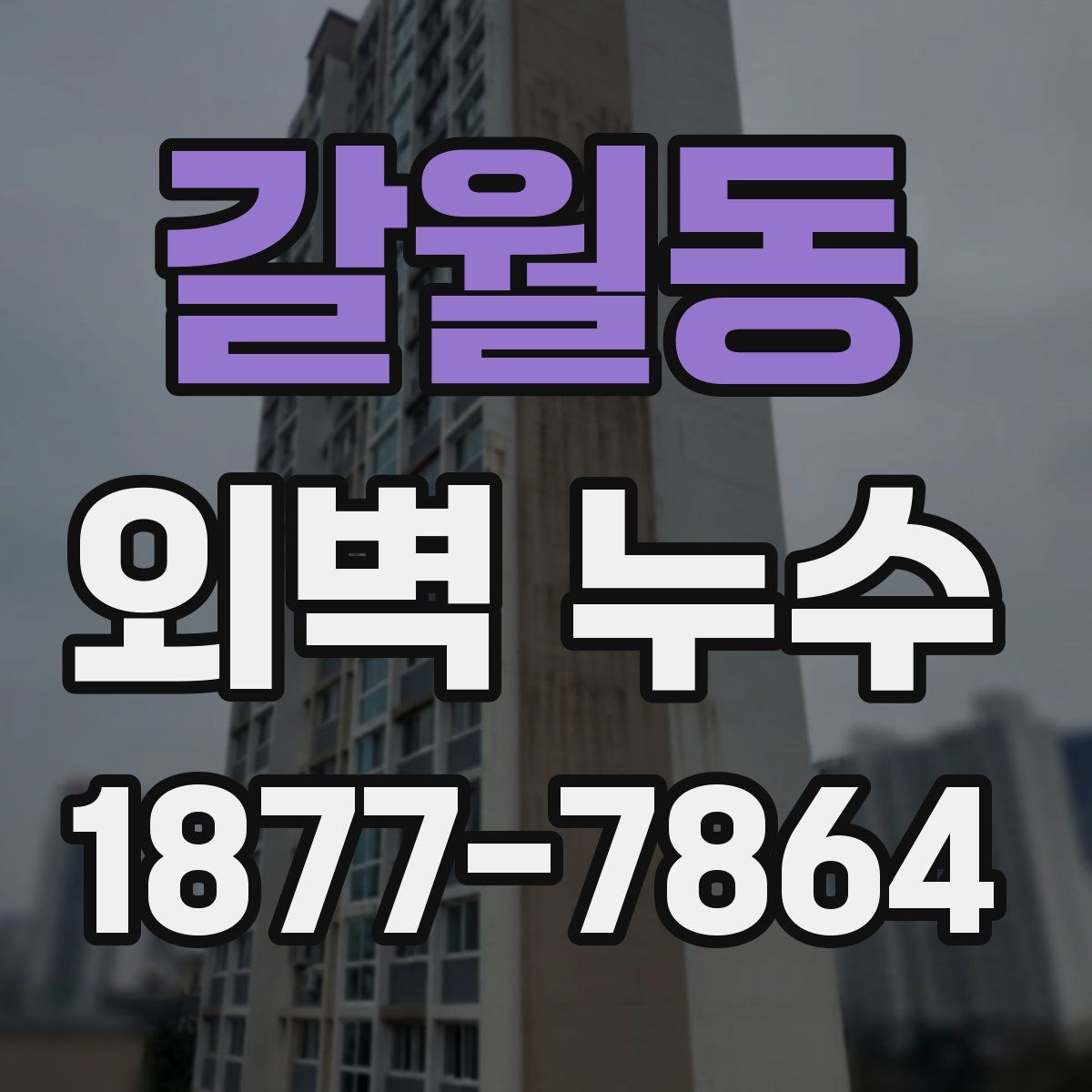 갈월동 외벽 누수