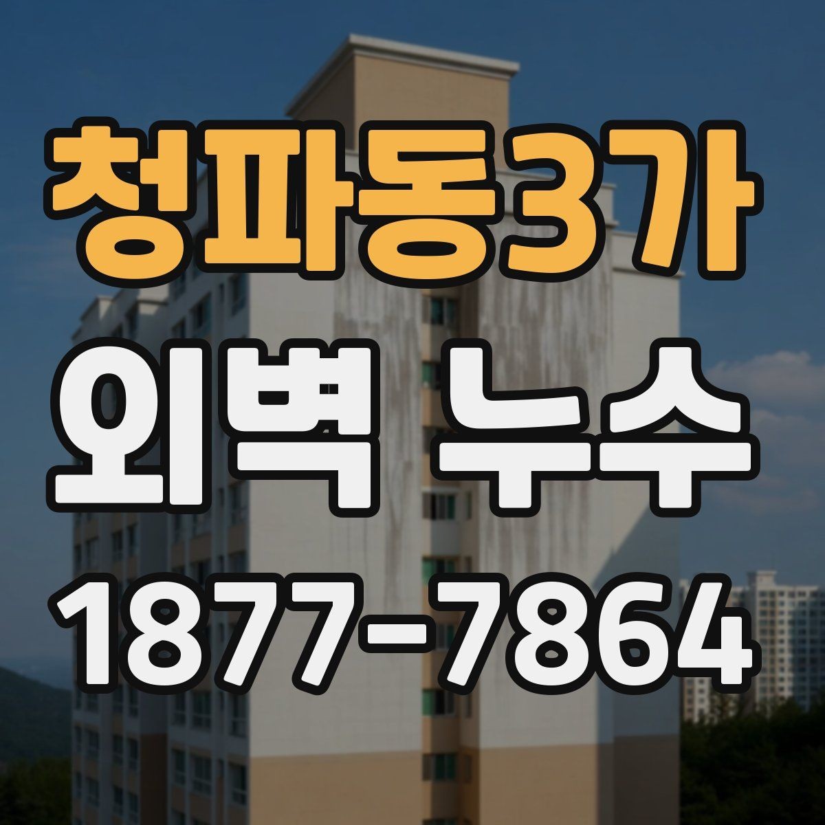 청파동3가 외벽 누수 점검 비용을 고려할 때 중요한 점