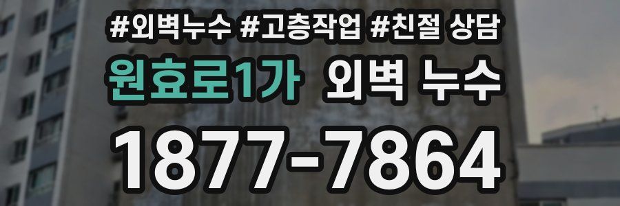 원효로1가 외벽 누수