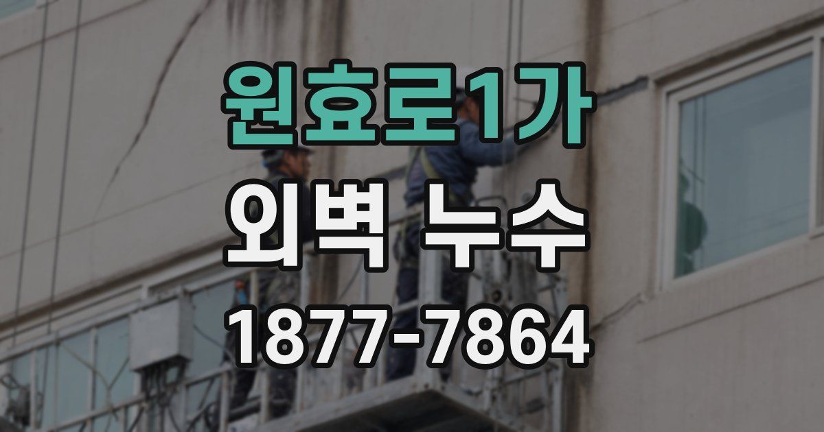 원효로1가 외벽 누수