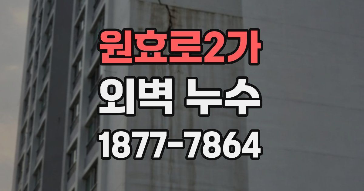 원효로2가 외벽 누수