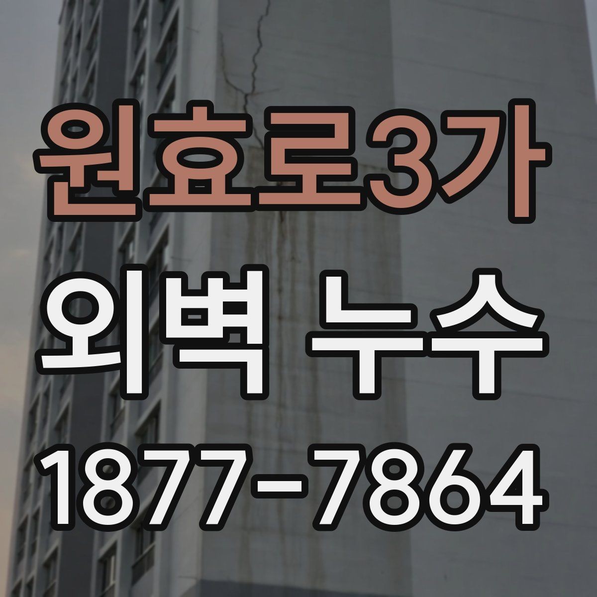 원효로3가 외벽 누수 해결을 위한 현장 조사 내용