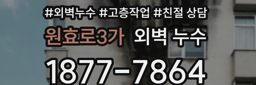 원효로3가 외벽 누수