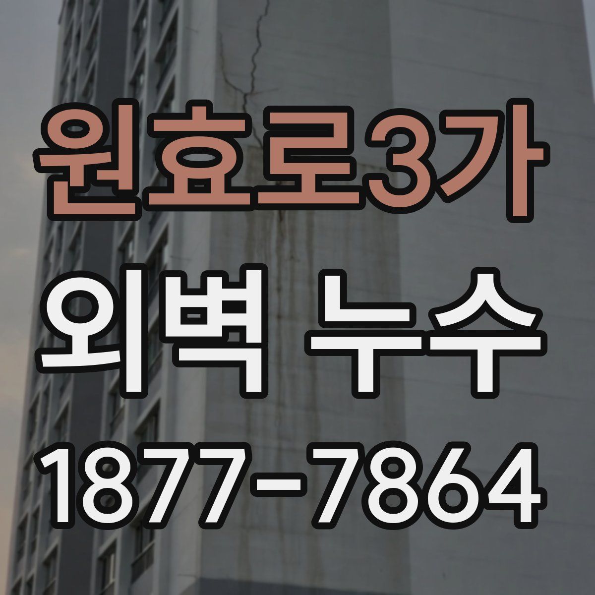 원효로3가 외벽 누수